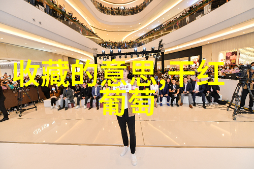 在默尔索产区的红酒之中人物沉浸于全球红酒的醇香与故事