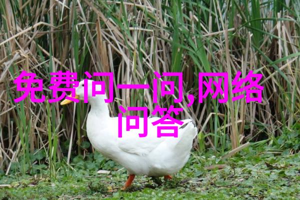 探秘欧洲十大宫殿古典美学与历史故事的交响