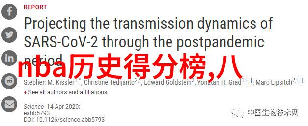 绽放爱的言语玫瑰花品种名字大全及花语探究