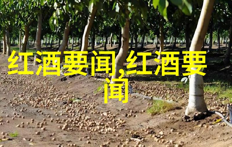 探索未知的美丽边界三四天自驾游的灵感之旅