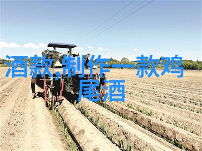 实拍玉米风情探索田野中的金黄美景