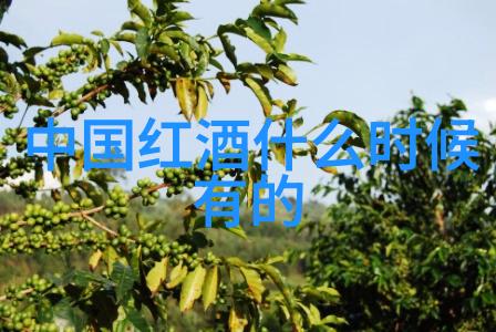玉米品种简介中的桑娇维塞葡萄酒是什么