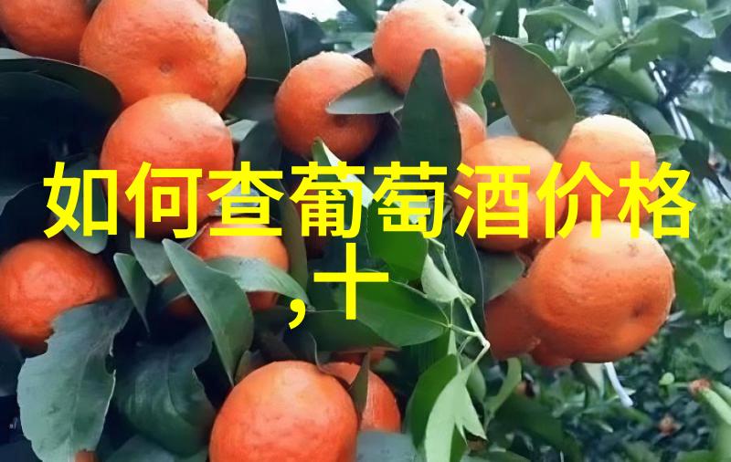 咖啡文化探秘深度剖析咖啡的历史种类与烘焙艺术