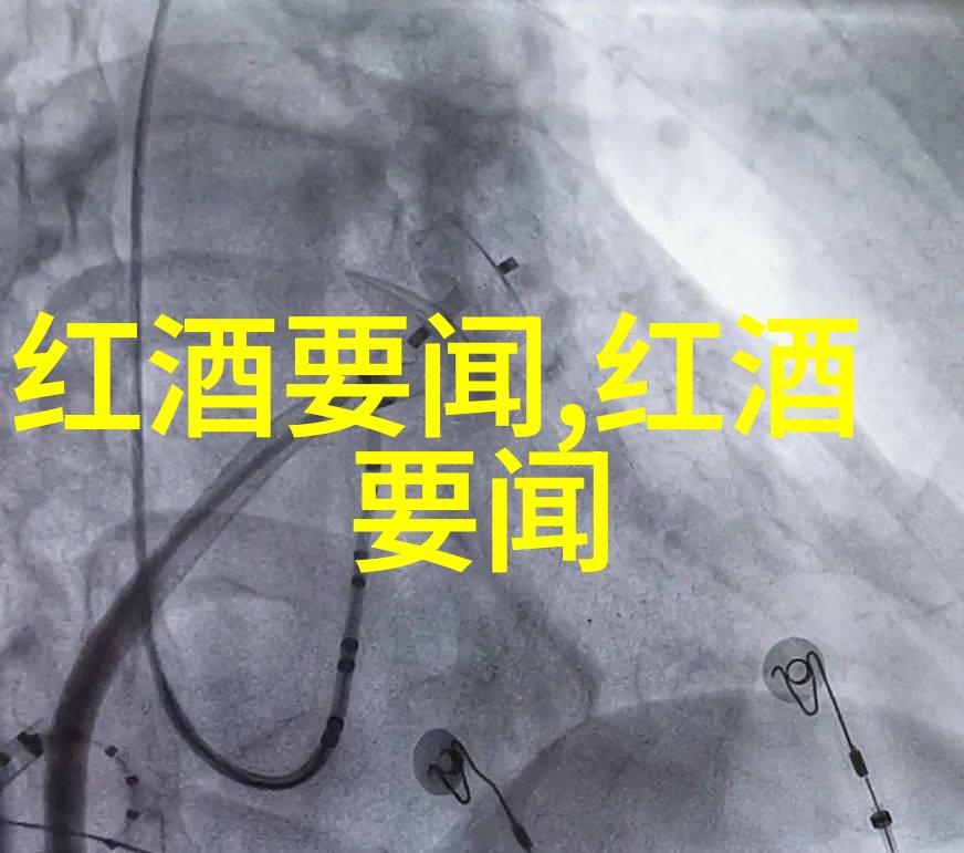 小型休闲农庄规划设计融合乡村魅力与现代便利的创新策略研究