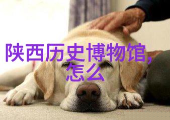 可爱简笔画人物系列100种创意角色绘画