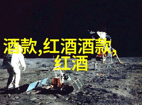 演唱组合成员光鲜亮丽的舞台魅力