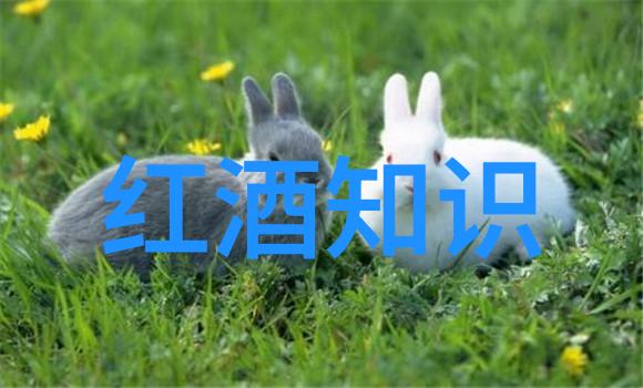 世界葡萄酒产区分布葡萄酒种植地葡萄酒产区地理分布全球葡萄园地区