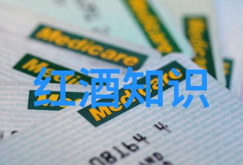国际视角下的12.9运动及其对全球政治的启示