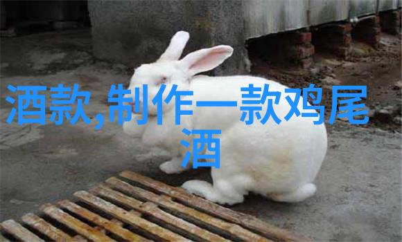 猫咪品种识别-揭秘宠物之星猫咪品种的迷人世界
