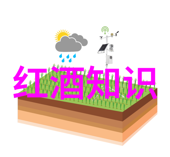 在2月2日的蚂蚁庄园答题答案中你是否曾希望成为那座酒庄