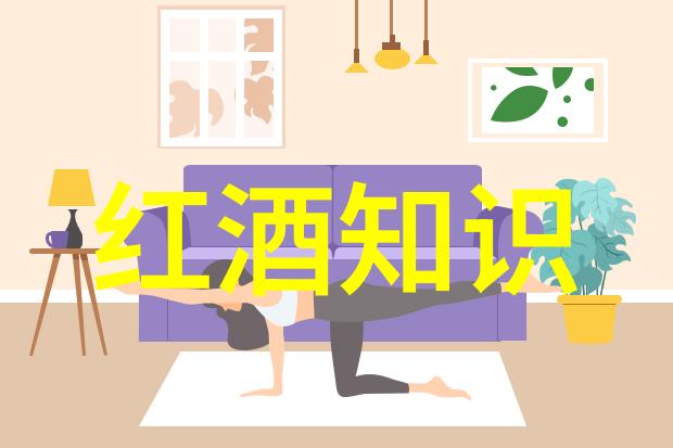 醉心世界探索最佳进口葡萄酒产区的秘密