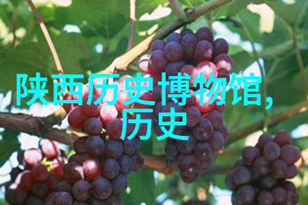 尹卓莉亚猫咪品种图片名字大全