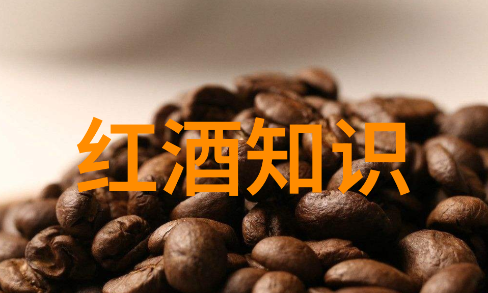 潮涨乐章顶级RAPPER的日本欢迎之旅