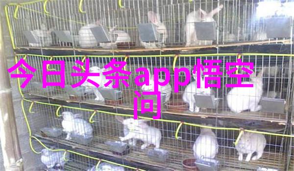 收藏视频我是如何在手机里堆积了无数好片子的