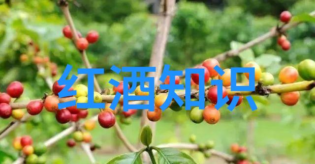 全国拍卖网权威平台引领艺术品交易新篇章