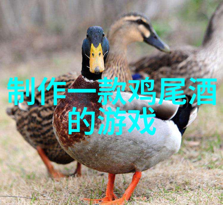 探索旧版人民币收藏价值一笔笔珍贵的历史记忆