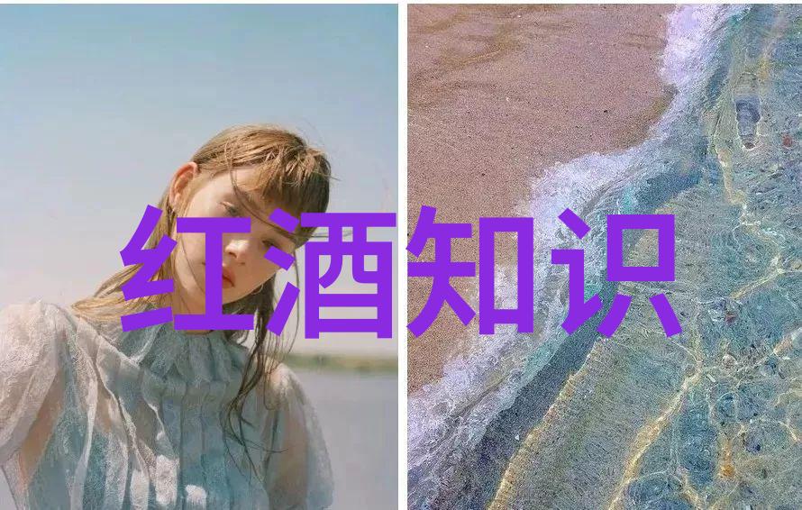 绽放色的诗意探索顶尖美丽的十大玫瑰品种