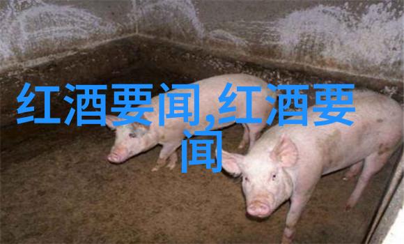 青羊宫及青玉兰公园寻觅城市绿洲之旅