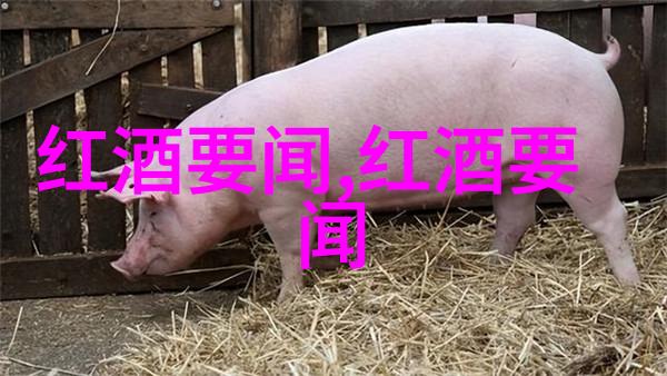 手绘漫画人物教程从初学者到专业画家
