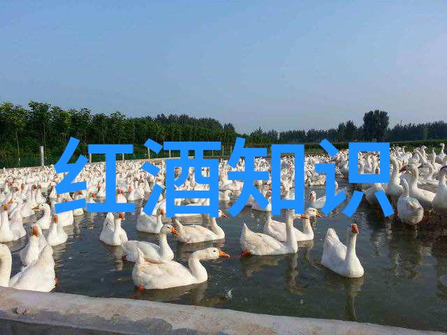 南京周边旅游景点推荐探索十月一日的美好