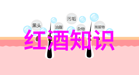 下载收藏夹精心整理的网络资源集合
