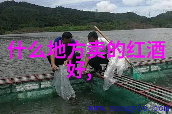 超级逍遥农场-梦幻田野里的无忧生活超级逍遥农场的奇迹