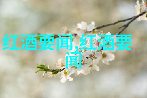 梦幻庄园攻略博颂酒庄Bodegas Borsao