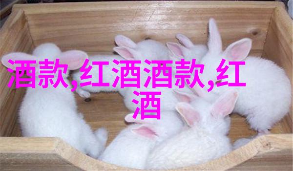打开我的收藏中心探索无限可能的世界