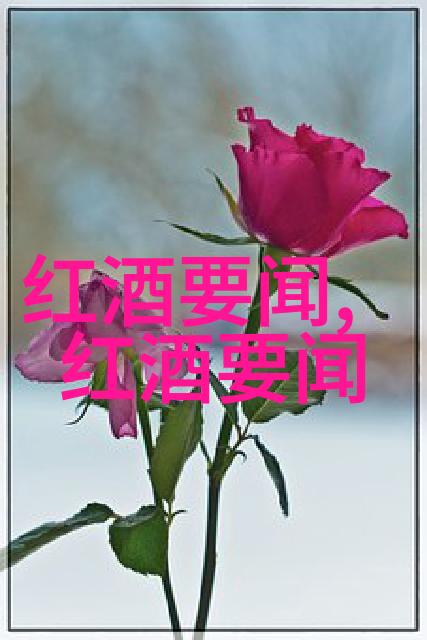 探索问答界的精英哪个网站最适合你