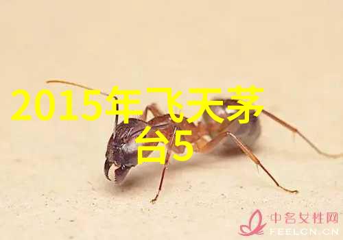 探秘沪沿上海周边2天1夜自驾游之旅