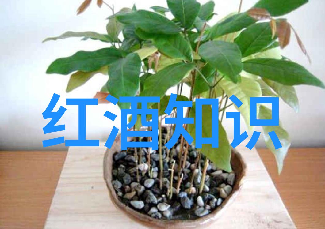 阿根廷美食与芬芳米格利特地区高原红宝石之旅