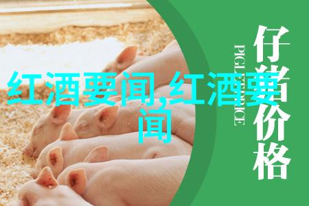 有种你试试探索自我极限的冒险体验