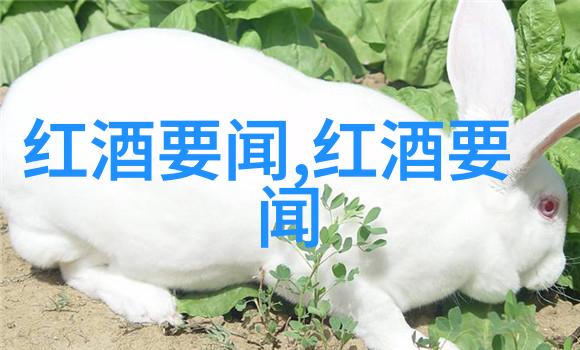 比熊寻回犬