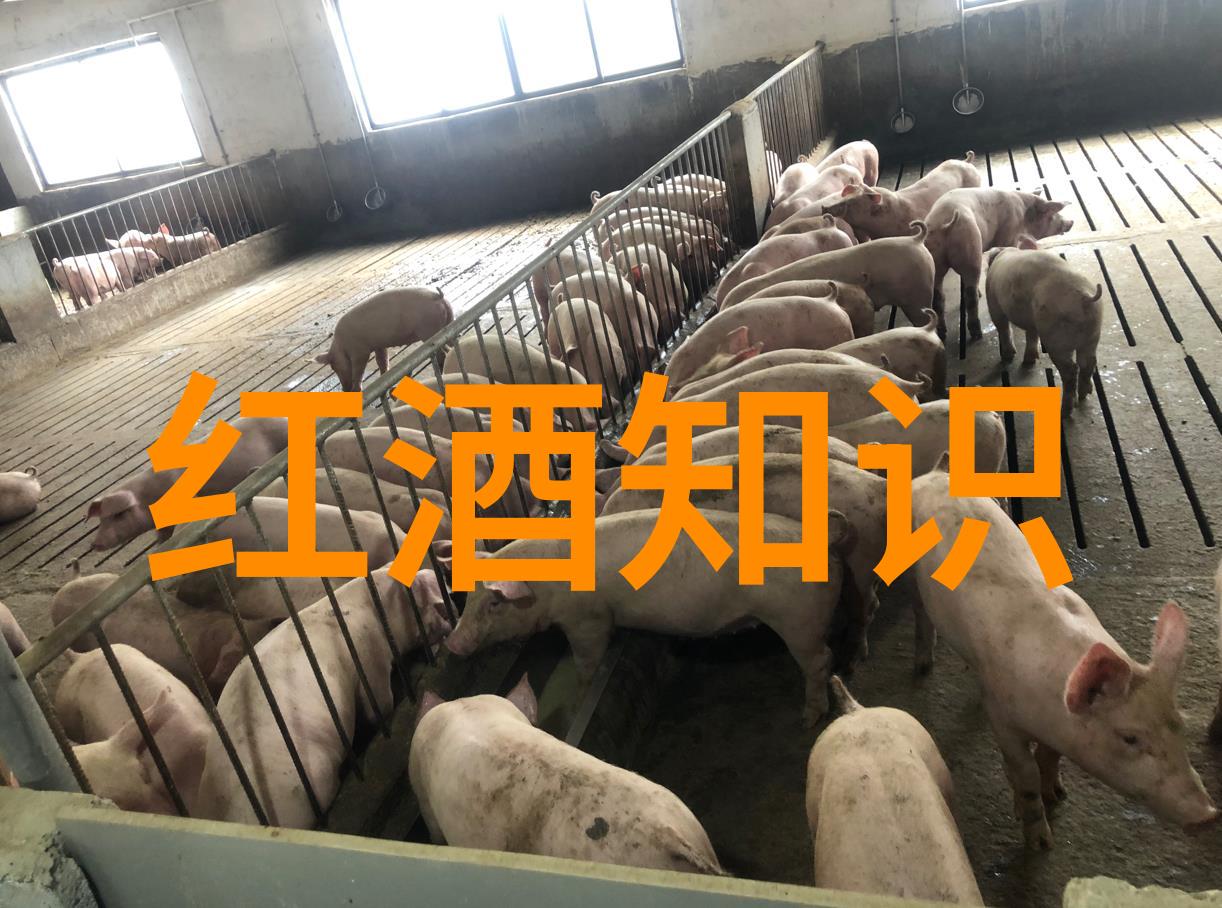 中国收藏艺术网古籍珍本的数字传承者