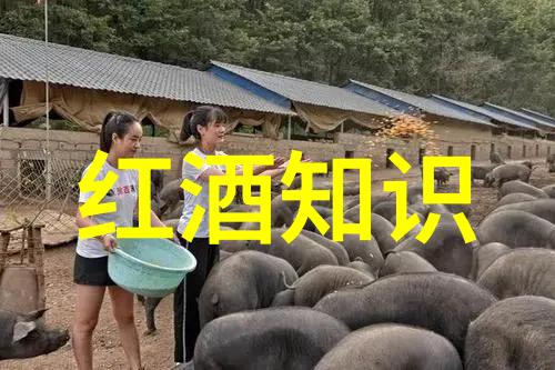 我们两个C得你舒服吗聊聊那些微妙的身体语言