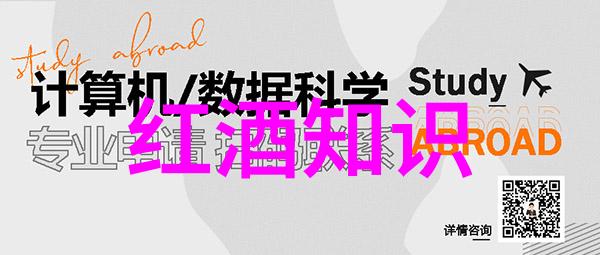 酒文化指的是什么-醉心传统揭秘中华酒文化的深度与广度