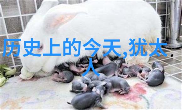 我有纪念币怎么卖掉我的宝藏钱包如何把握纪念币的市场价值