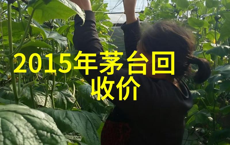 扫描答案逆袭之路