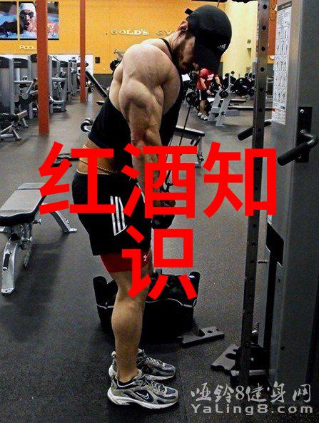中国传统酒文化书籍推荐-醉笔谈探秘中国古代酒文化的珍贵篇章