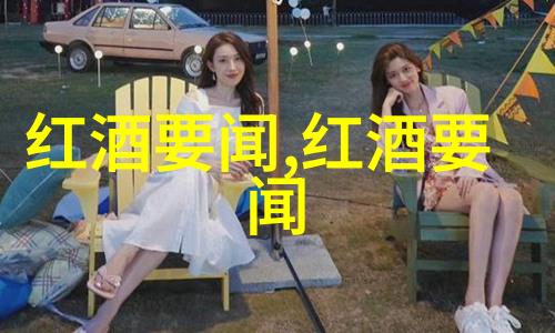 品味法国葡萄酒探索其十大著名产区