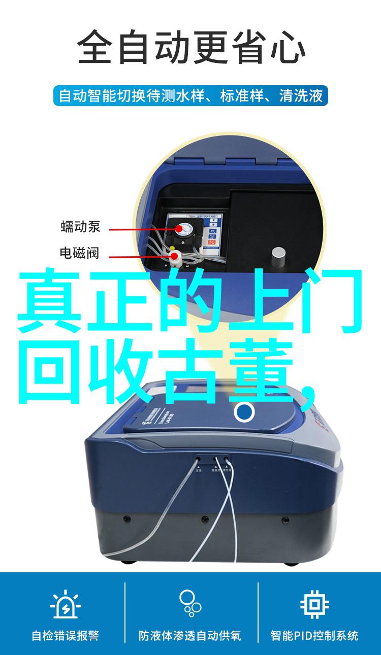 大收藏家电视剧中的文化遗产与社会价值探究
