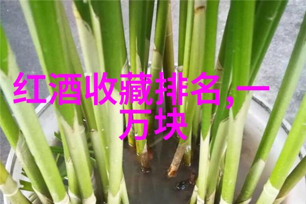 猫咪家族的领袖全球最受欢迎的猫种类排名