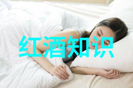 法国葡萄园的诗篇  里昂的酒香与情感