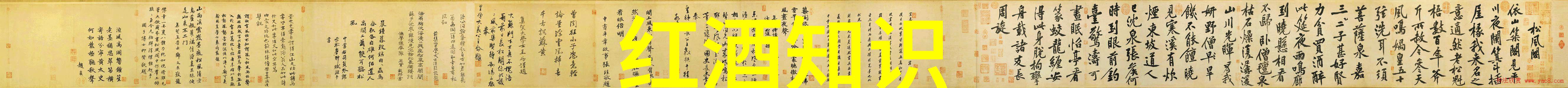 猫的全能谱从鬣爪到波斯揭秘每一只都有超能力的家猫