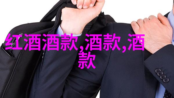 打开我的历史记录揭秘搜索引擎背后的数据世界