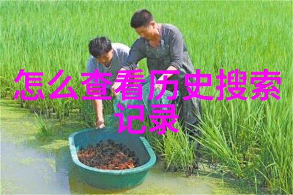 晚会趣味问答题及答案 - 欢笑间的智慧对决晚会趣味问答大赛精彩回顾