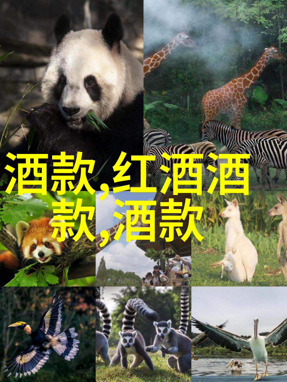 探秘我带你去中国十大aaaaa级景区玩得头疼但超值