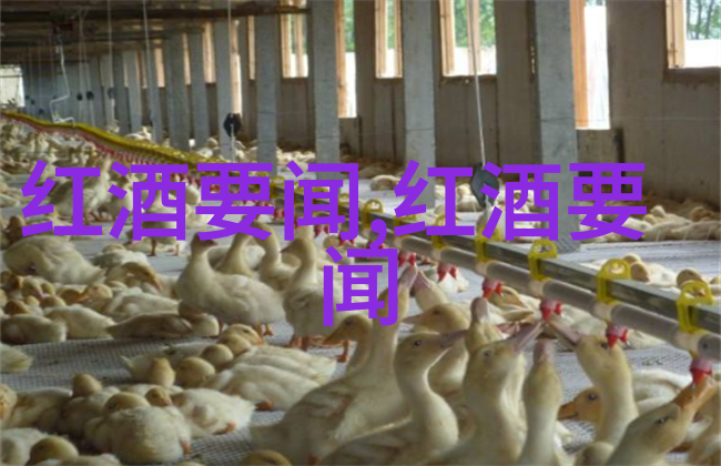 百度知道付费咨询-解锁专业知识深度探究百度知道付费咨询服务