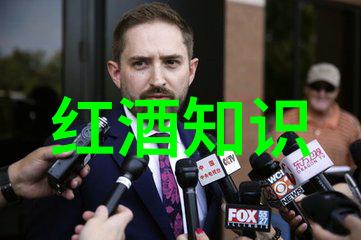 法国产量最大的葡萄酒产区-勃艮第大区的醇香故事
