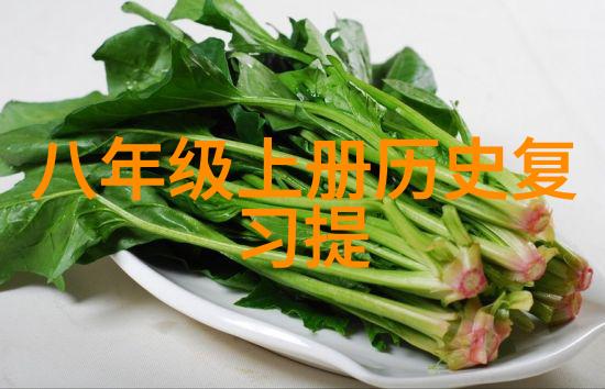 构建高效仓位持仓网优化投资策略与风险管理